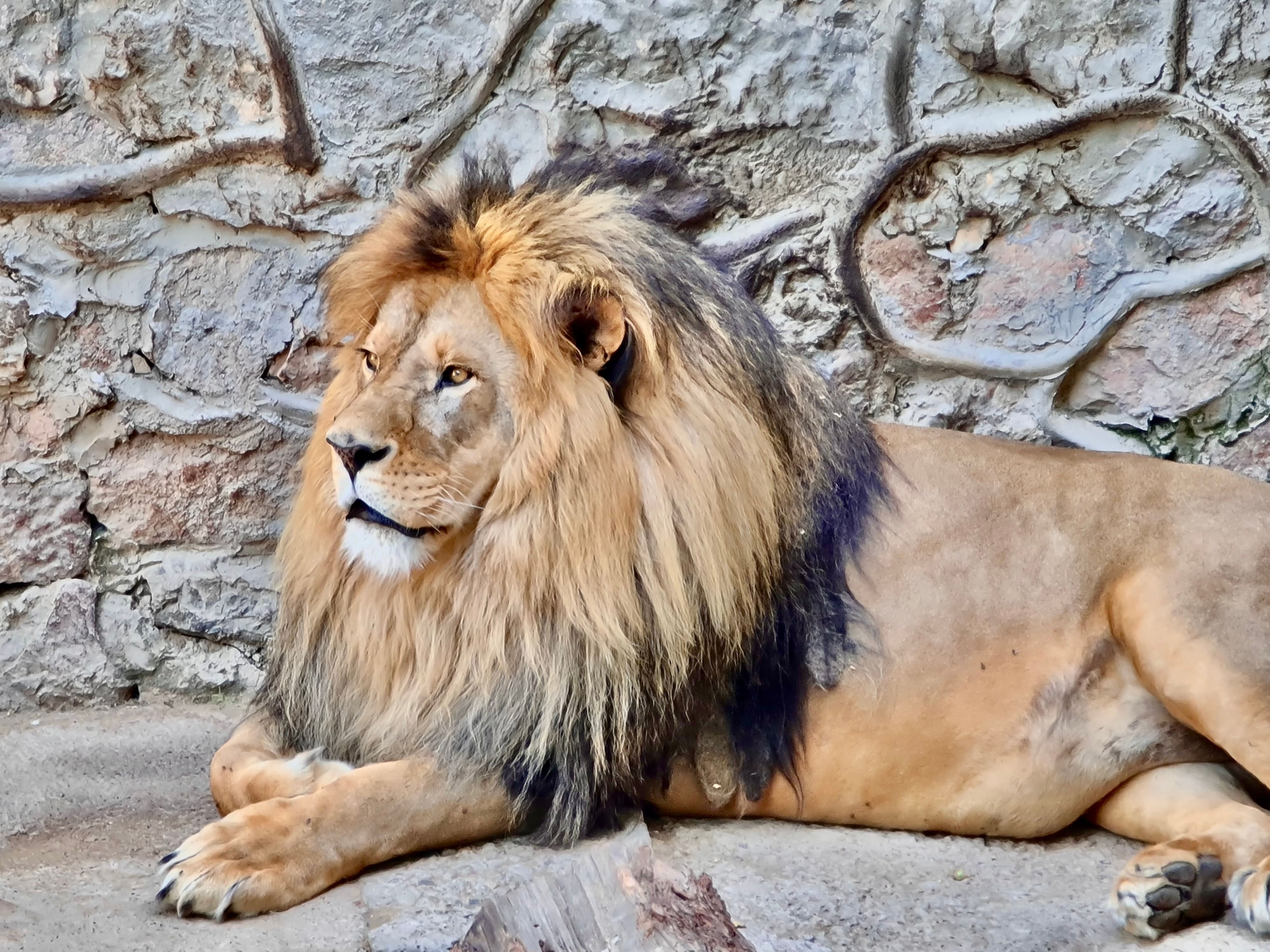 Ташкентский зоопарк